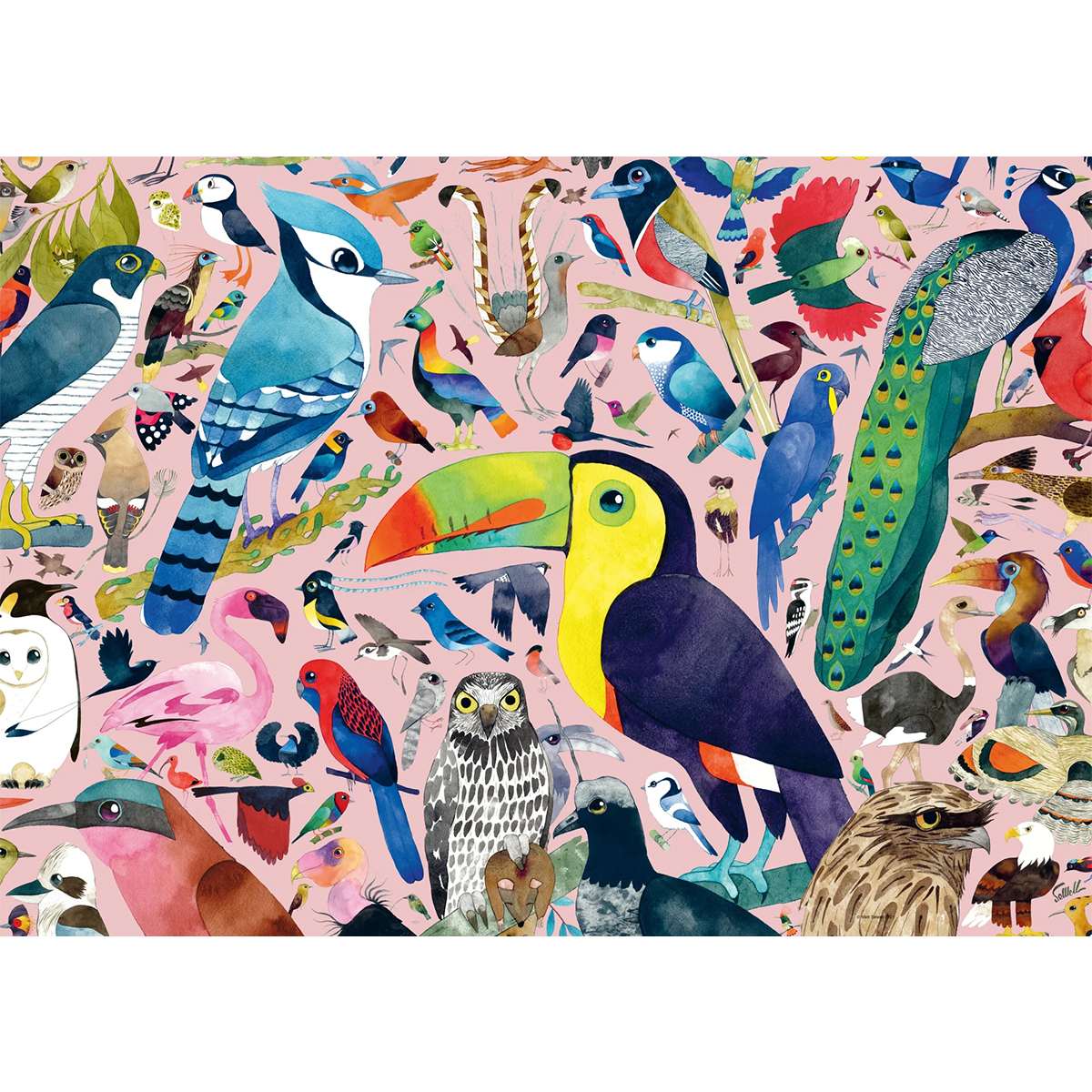 Puzzle Ravensburger Pájaros Increíbles de 1000 piezas