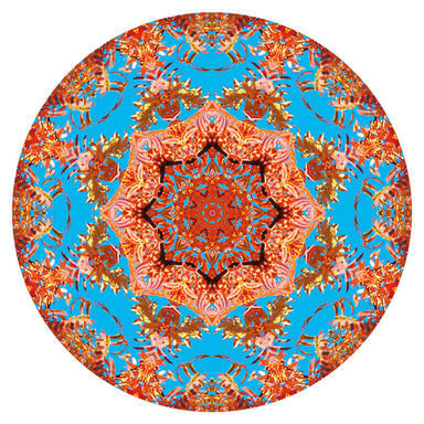 Puzzle Redondo Mandala Naranja de 500 piezas