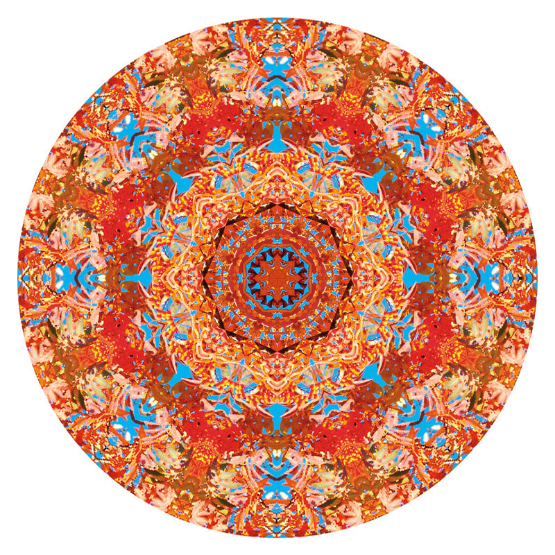 Puzzle Redondo Mandala Todos los Caminos de 500 piezas