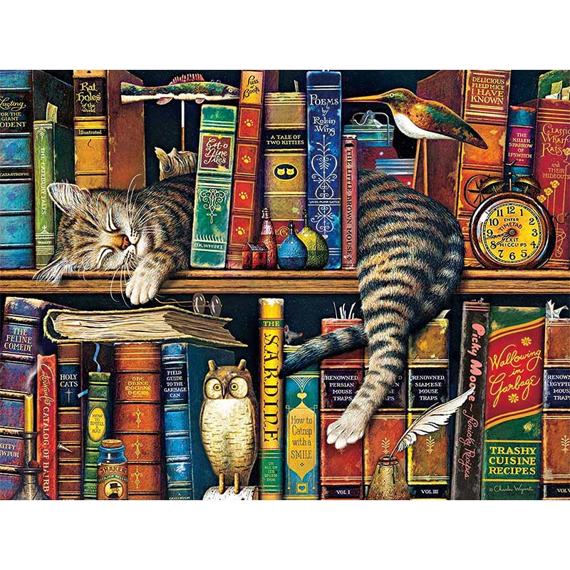 Puzzle El Gato con Libros de 1000 Piezas